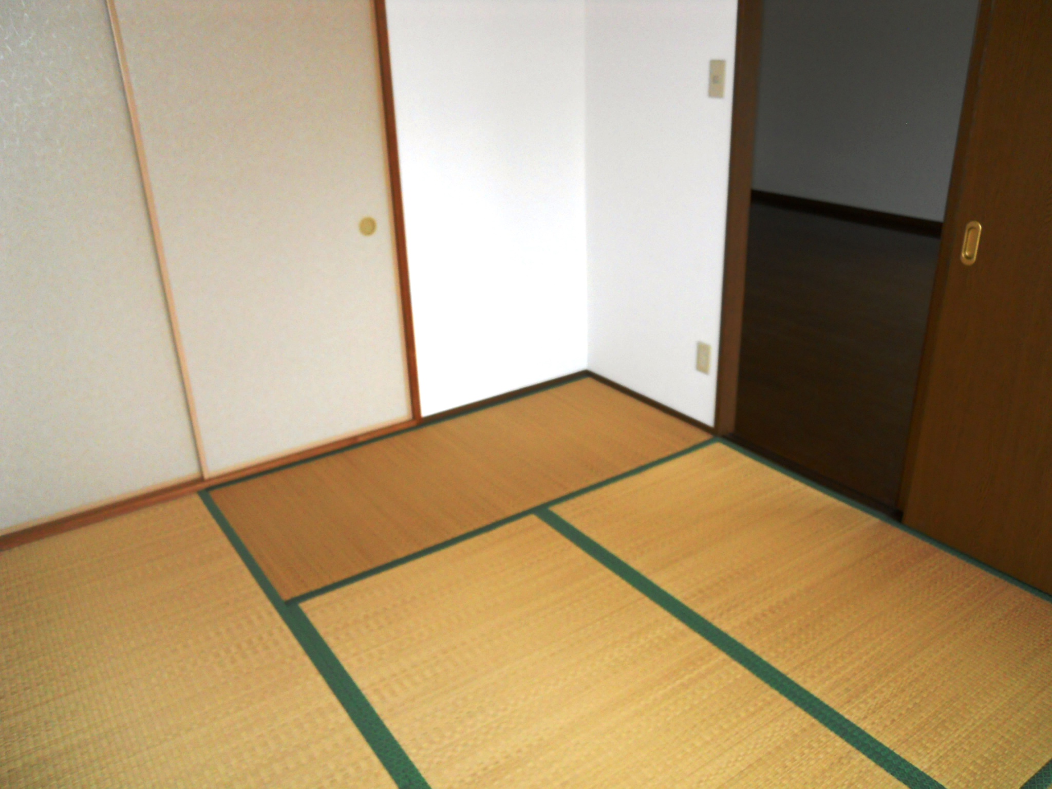 Living and room. Japanese style room