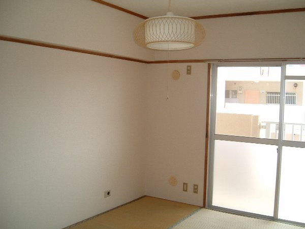 Other room space. Japanese style room