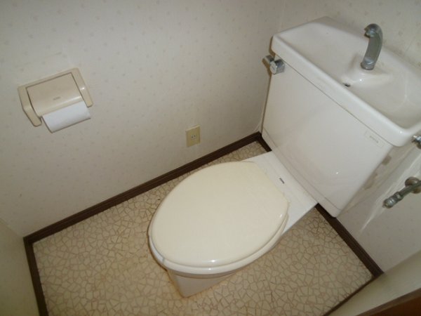 Other. Toilet