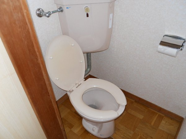 Toilet. Toilet