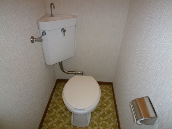 Toilet. Toilet