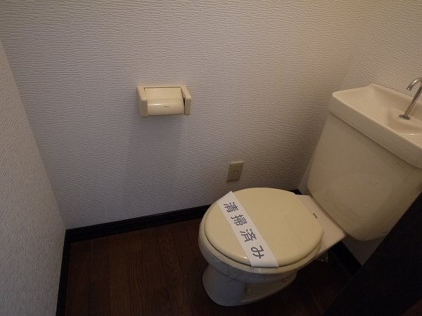 Other. Toilet