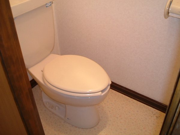 Toilet. Toilet