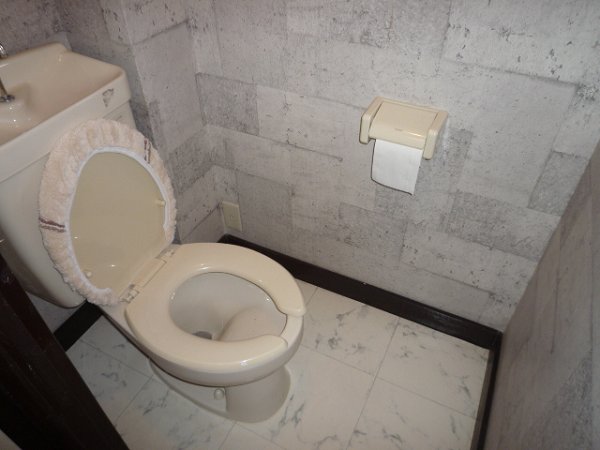 Toilet. Toilet