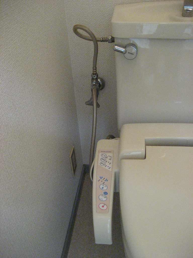 Toilet