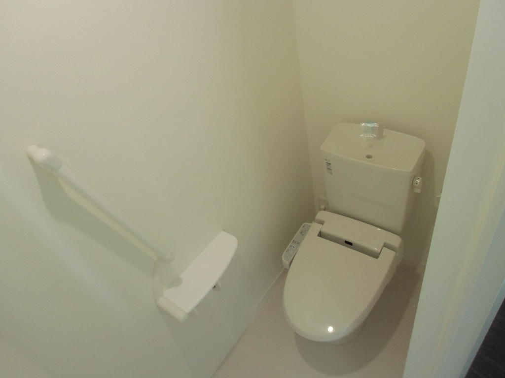 Toilet. Things comes with a definitive platform and handrail