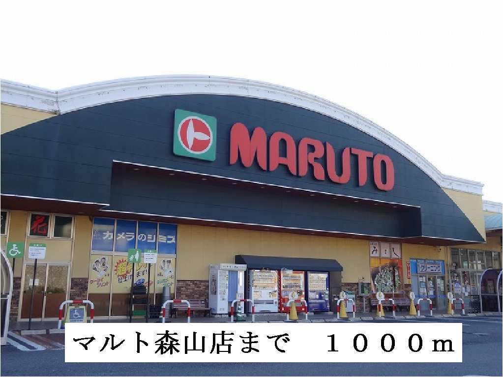 Supermarket. 1000m to Marthe Moriyama store (Super)