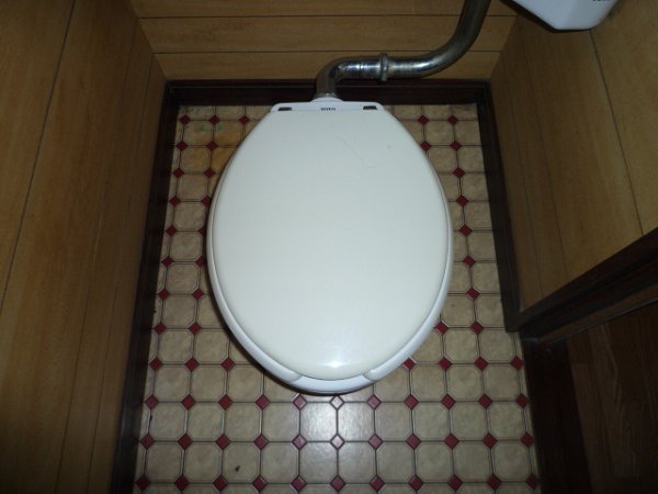 Toilet. Toilet