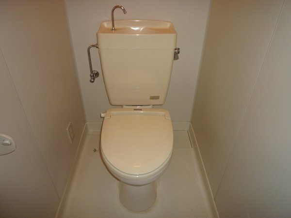 Toilet. Toilet