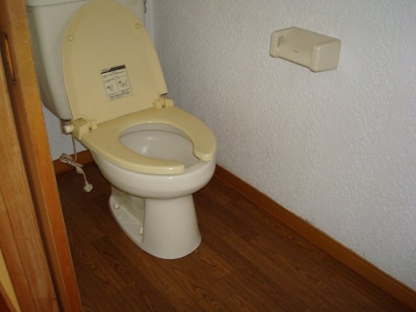 Other. Toilet