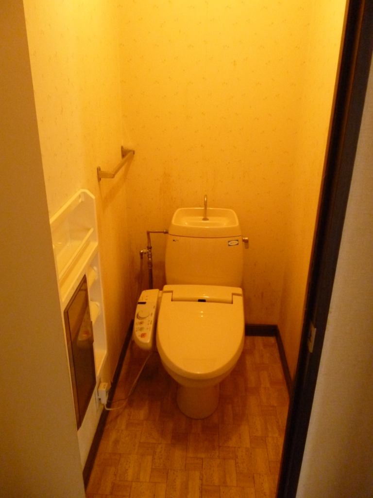 Toilet