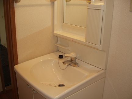Washroom. Bathroom vanity