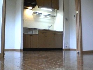 Living and room. DK6.6 Pledge
