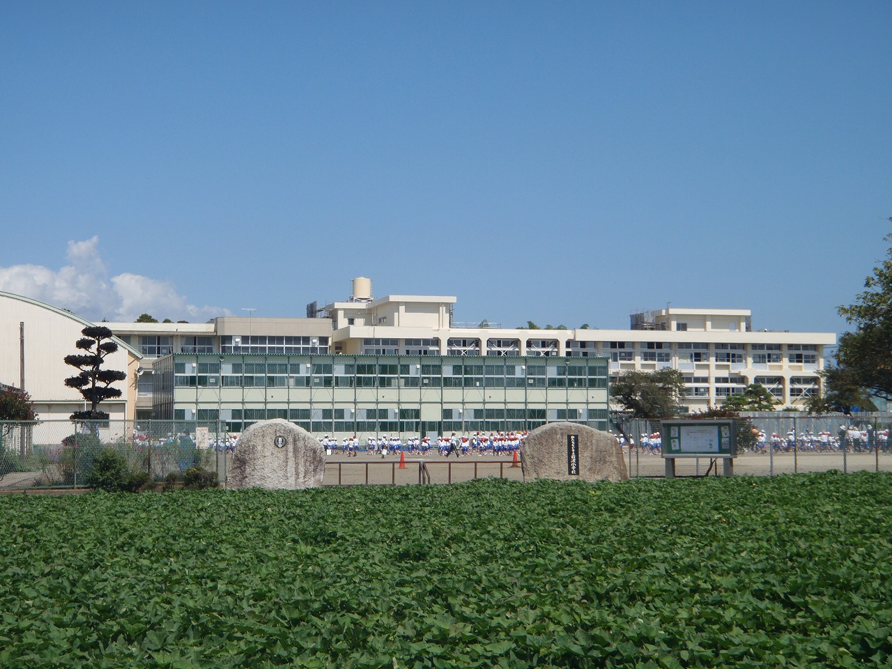 Primary school. Hitachinaka to City before coming to elementary school (elementary school) 2000m