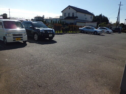 Parking lot. Spacious parking