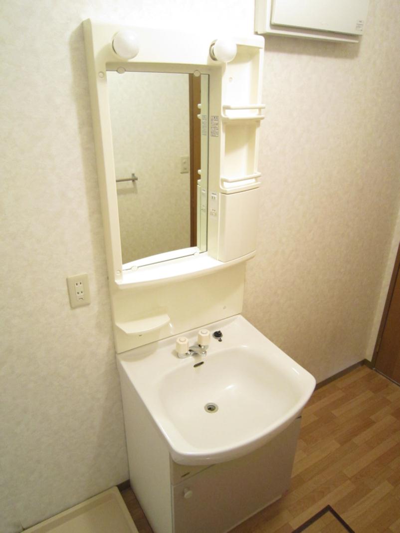 Washroom. Bathroom vanity