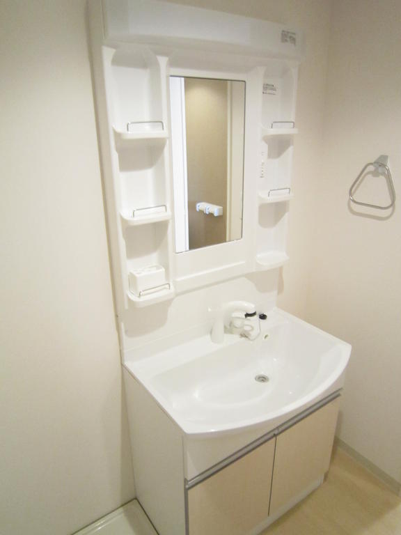 Washroom. Shampoo dresser