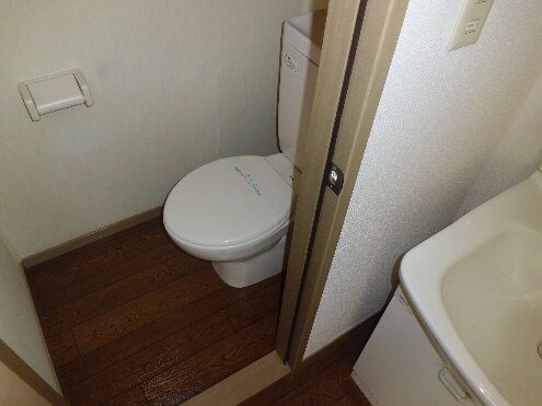 Toilet. Flush toilet