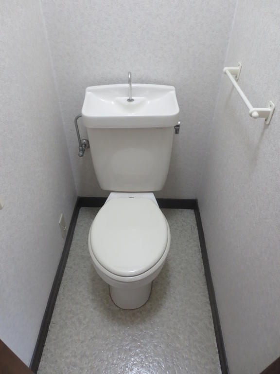 Toilet. Toilet