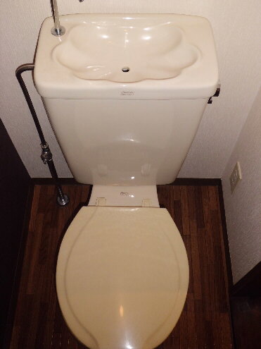 Toilet. toilet! 