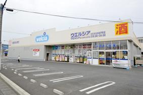 Drug store. Uerushia Hitachinaka 850m to Matsudo-cho shop