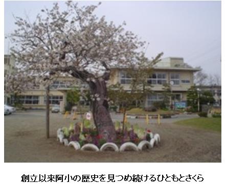 Primary school. Hitachinaka Municipal Ajigaura to elementary school 798m