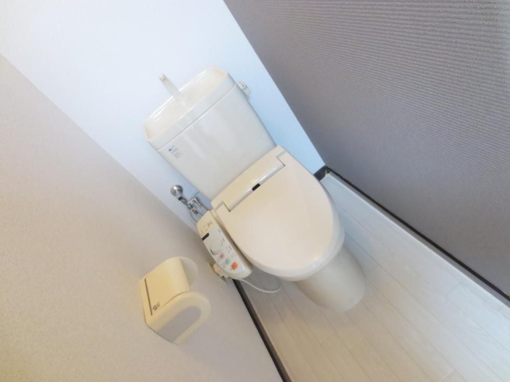 Toilet. Warm water washing toilet seat