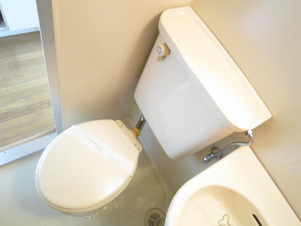Toilet. Toilet