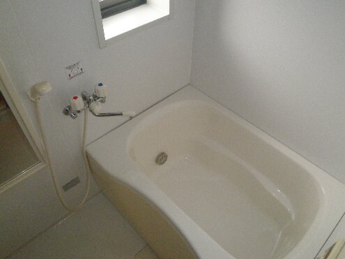 Bath. It comes with a window!