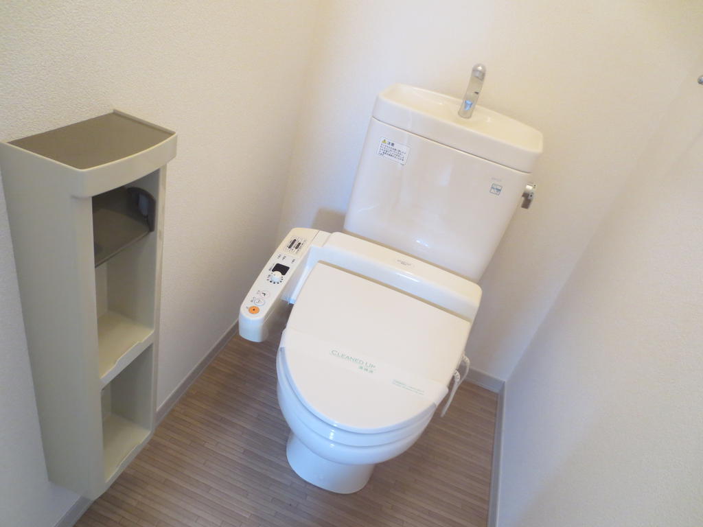 Toilet. Washlet toilet