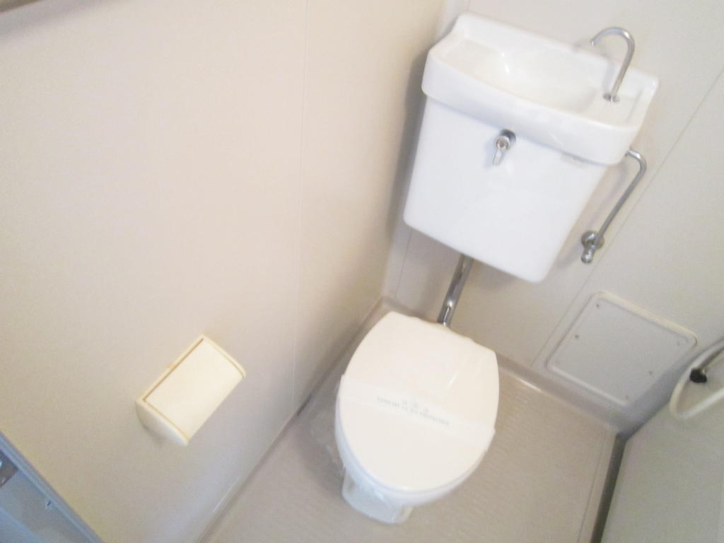 Toilet. Toilet