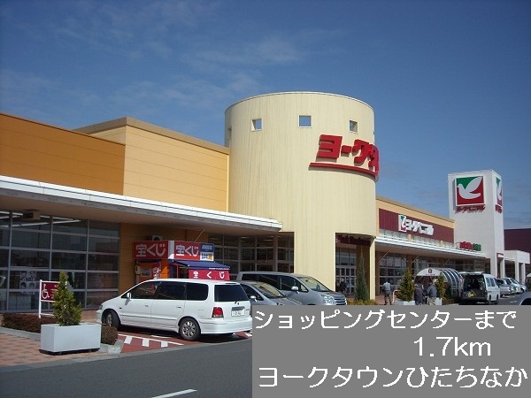 Supermarket. 1700m to Yorktown Hitachinaka (super)