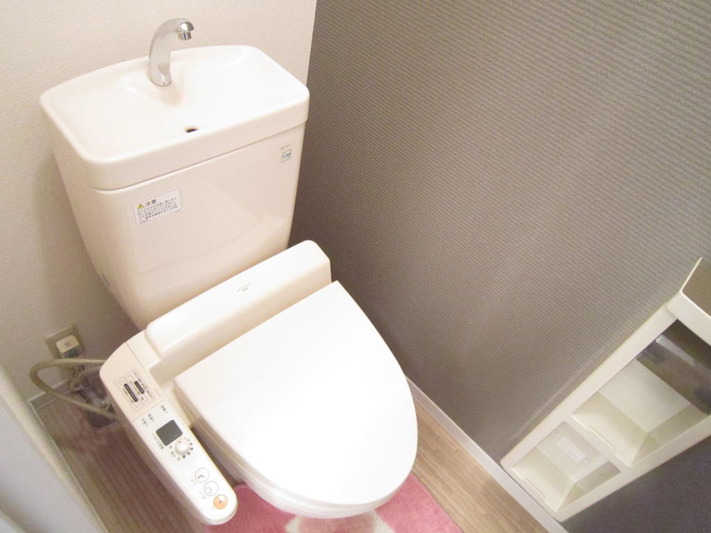 Toilet. Bidet with toilet