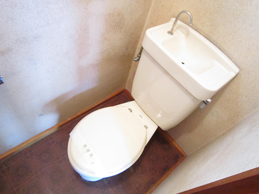 Toilet. Toilet