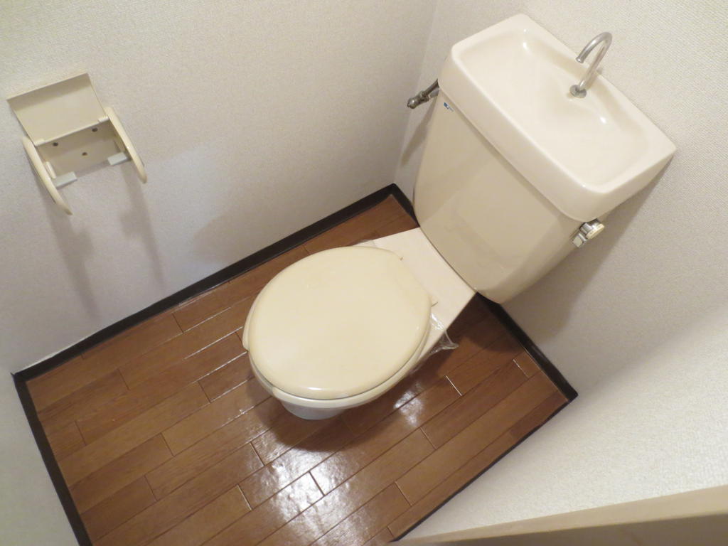 Toilet. Toilet