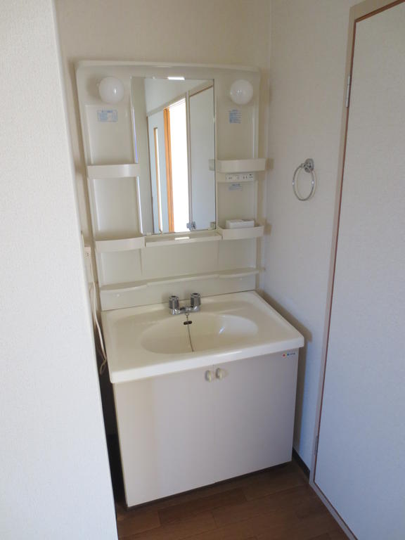 Washroom. Bathroom vanity