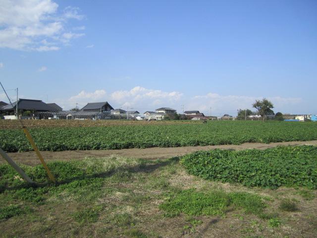 Local land photo