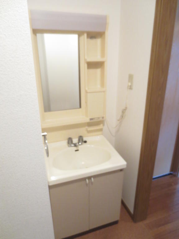 Washroom. Bathroom vanity