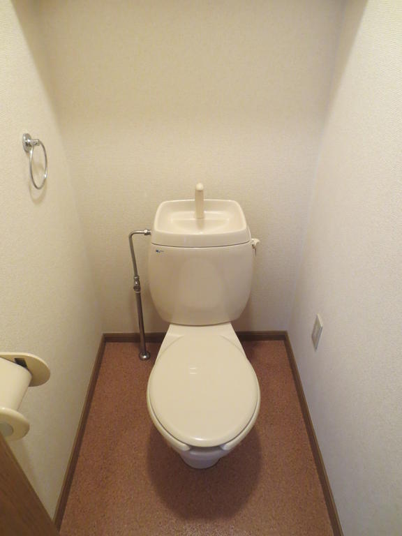 Toilet. Toilet