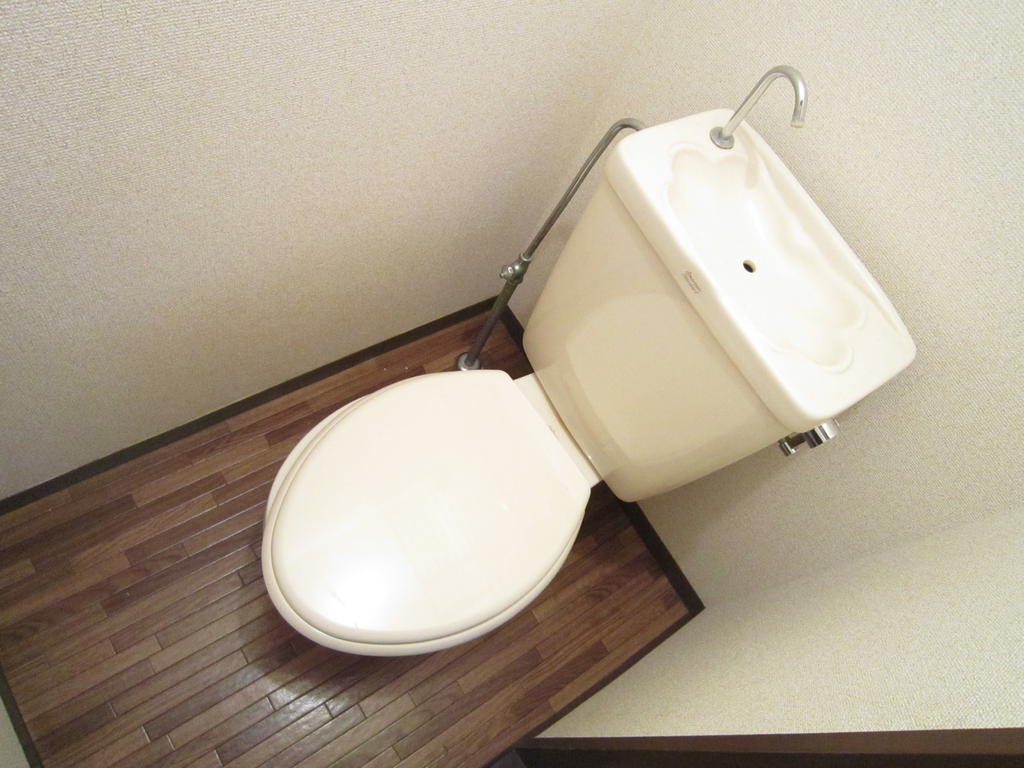 Toilet. Toilet