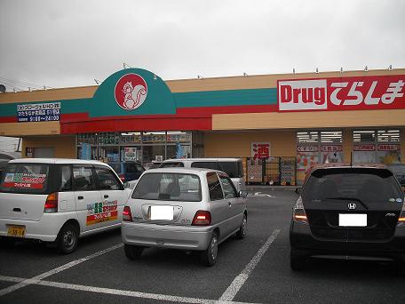 Dorakkusutoa. Drag Terashima Hitachinaka Sawa shop 482m until (drugstore)