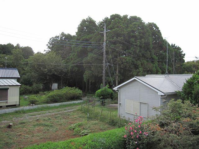 Garden. Is the view from the second floor