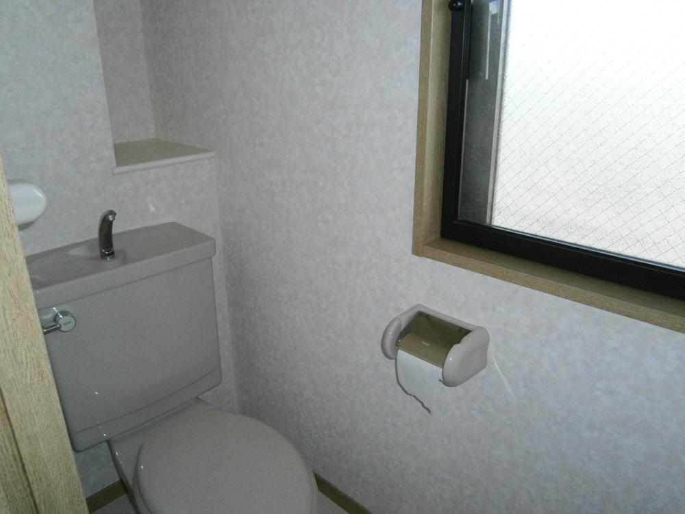 Toilet. Indoor (January 2011) shooting