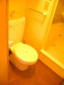 Toilet. Bath and toilet is completely separate private room