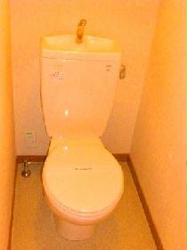 Toilet. We offer a clean toilet