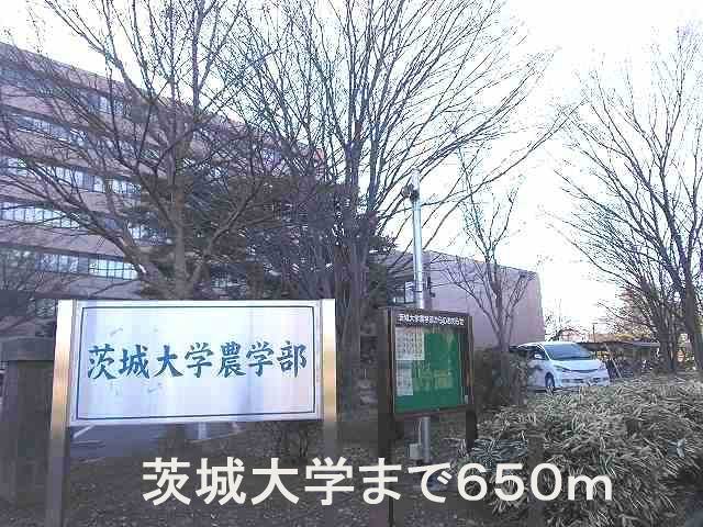 University ・ Junior college. Ibaraki University Faculty of Agriculture (University of ・ 650m up to junior college)