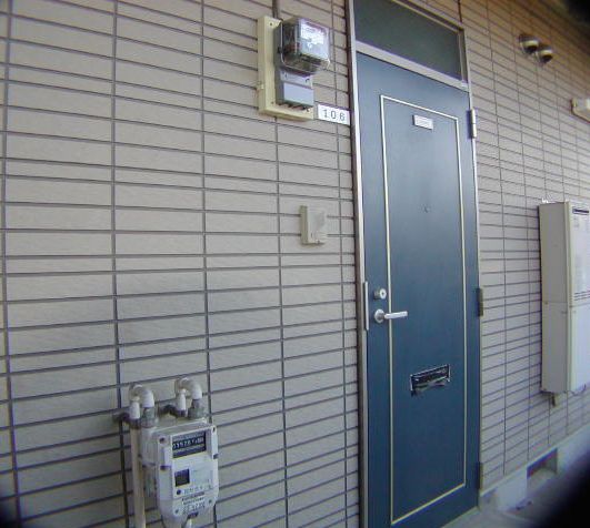 Entrance. Entrance door