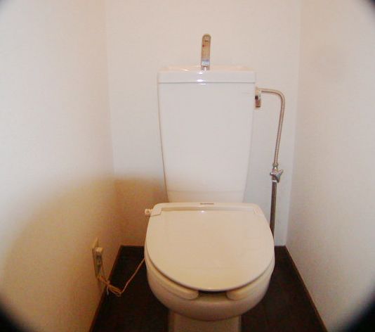 Toilet. Toilet door is chic.