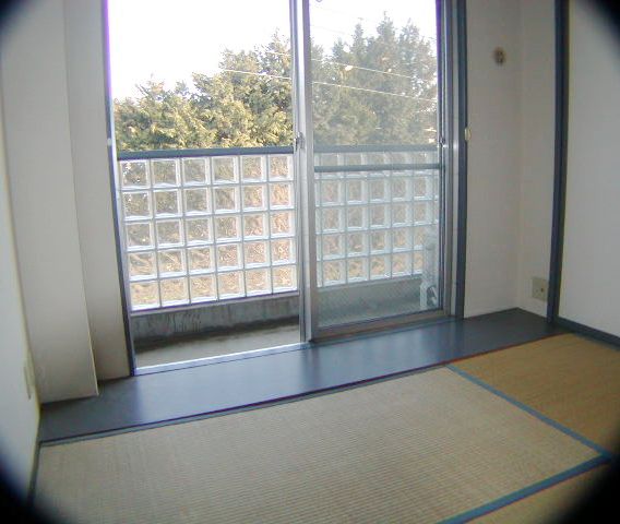 Balcony. Floorboard between the Japanese and veranda. 