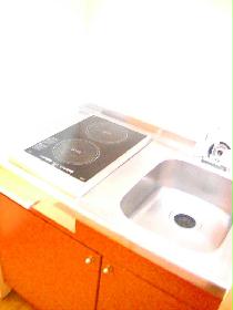 Kitchen. Care is simple electric stove ☆